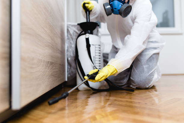 Best Affordable Pest Control Services  in Watertown, SD