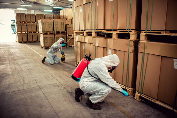 Best Best Pest Control Companies  in Watertown, SD