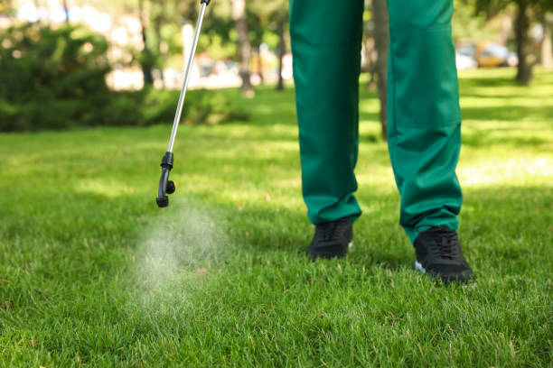 Flea Control Services in Watertown, SD