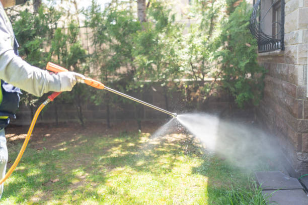 Best Flea Control Services  in Watertown, SD