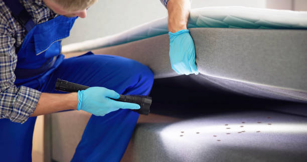 Best Bed Bug Extermination  in Watertown, SD