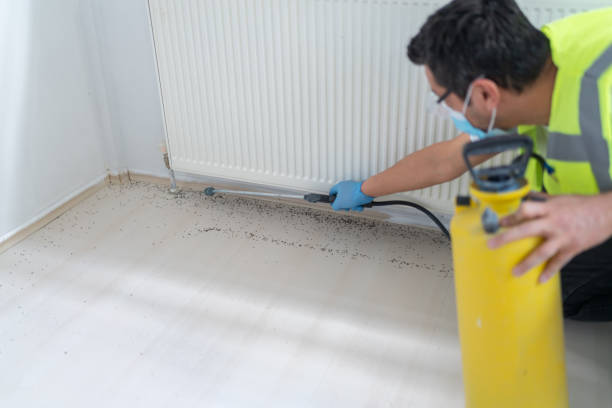 Best Wasp Removal Services  in Watertown, SD