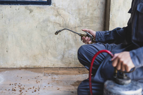Best Affordable Pest Control Services  in Watertown, SD