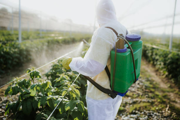 Best Pest Inspection Near Me  in Watertown, SD